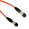 Fiber Optic Cable, OM1, 30m, MTP, 12 fiber, - P/N WC173600