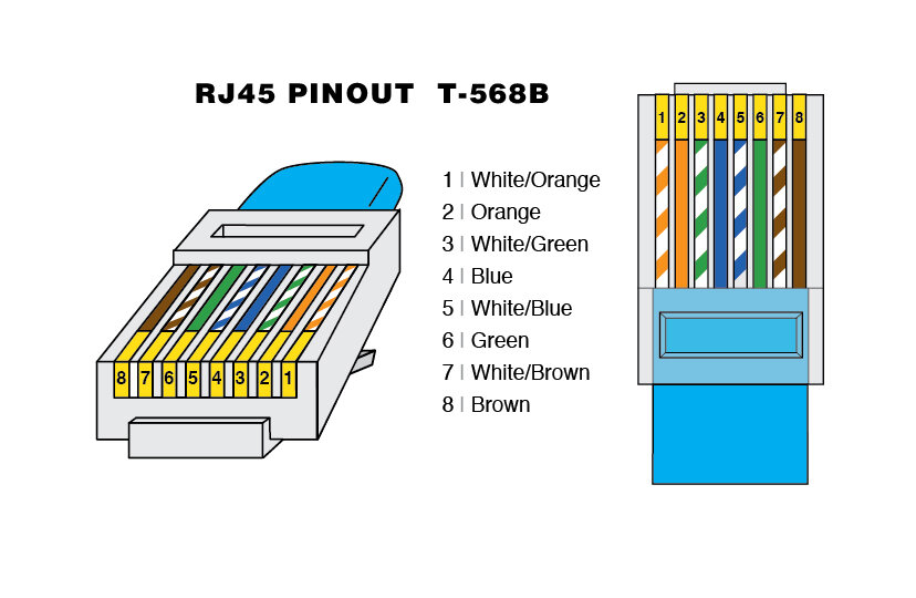 Diagram Cat 6 Ethernet Wiring Diagram Full Version Hd Quality Wiring Diagram Typeprogramwire Ledickens Fr