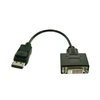 Adapter, DisplayPort to DVI-D, M/F, 6 inch - P/N WC281170
