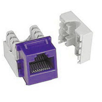 Purple RJ45 keystone connector for unique networking solutions.