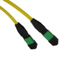 MTP single-mode fiber optic cable, ideal for high-speed data networks.