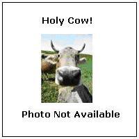 No image available for the product.